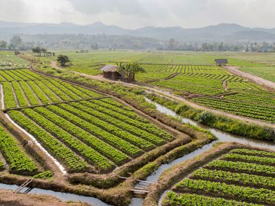 Farm Lands